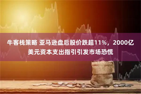 牛客栈策略 亚马逊盘后股价跌超11%，2000亿美元资本支出指引引发市场恐慌