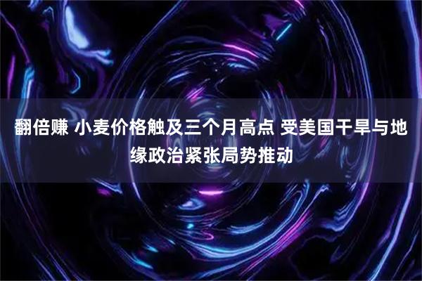 翻倍赚 小麦价格触及三个月高点 受美国干旱与地缘政治紧张局势推动